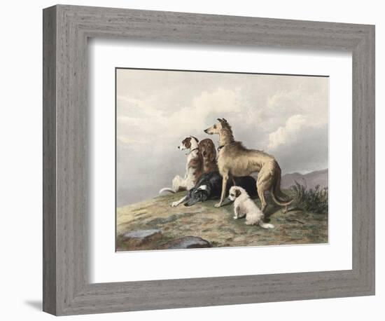 Highland Dogs-Edwin Henry Landseer-Framed Art Print