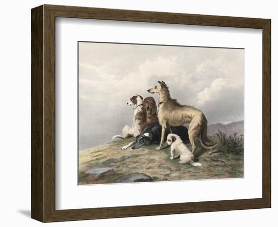 Highland Dogs-Edwin Henry Landseer-Framed Art Print