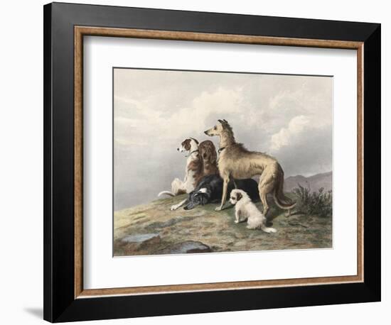 Highland Dogs-Edwin Henry Landseer-Framed Art Print