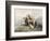 Highland Dogs-Edwin Henry Landseer-Framed Art Print