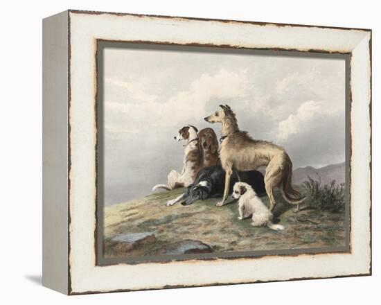 Highland Dogs-Edwin Henry Landseer-Framed Stretched Canvas