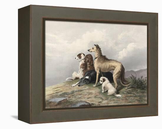 Highland Dogs-Edwin Henry Landseer-Framed Stretched Canvas