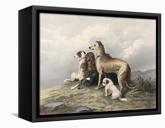 Highland Dogs-Edwin Henry Landseer-Framed Stretched Canvas