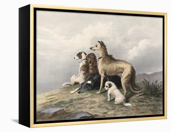 Highland Dogs-Edwin Henry Landseer-Framed Stretched Canvas
