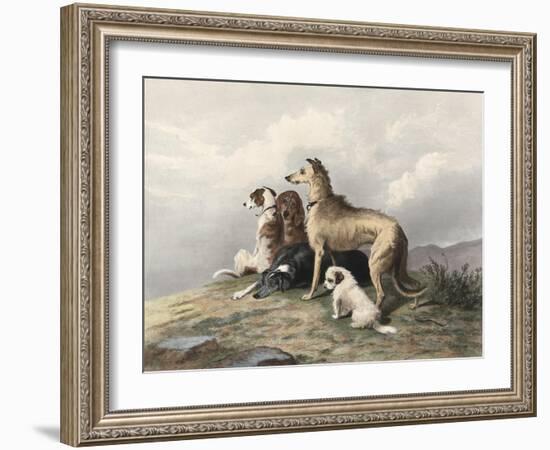 Highland Dogs-Edwin Henry Landseer-Framed Art Print