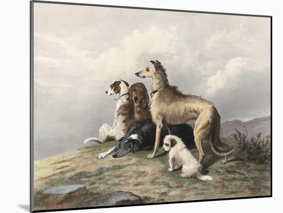 Highland Dogs-Edwin Henry Landseer-Mounted Art Print