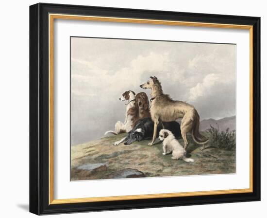 Highland Dogs-Edwin Henry Landseer-Framed Art Print