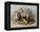 Highland Dogs-Edwin Henry Landseer-Framed Premier Image Canvas