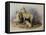 Highland Dogs-Edwin Henry Landseer-Framed Premier Image Canvas