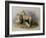 Highland Dogs-Edwin Henry Landseer-Framed Giclee Print