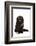 Highland Folt Cat-Fabio Petroni-Framed Photographic Print