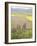 Highland of Castelluccio Di Norcia, Norcia, Umbria, Italy, Europe-Angelo Cavalli-Framed Photographic Print