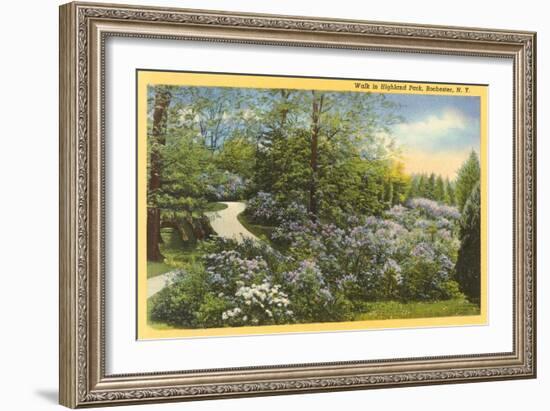 Highland Park, Rochester, New York-null-Framed Art Print