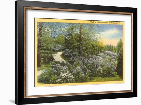 Highland Park, Rochester, New York-null-Framed Art Print