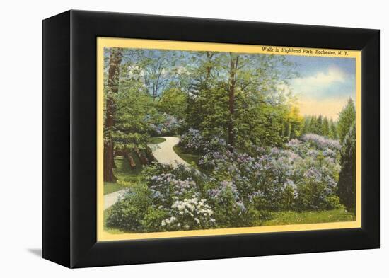 Highland Park, Rochester, New York-null-Framed Stretched Canvas