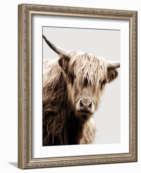 Highland Portrait I-Danita Delimont-Framed Photo