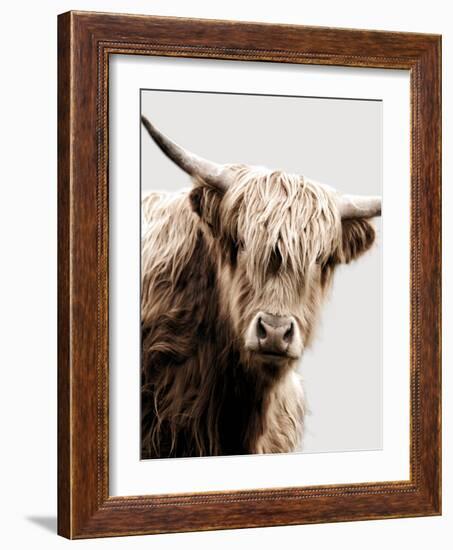 Highland Portrait I-Danita Delimont-Framed Photo