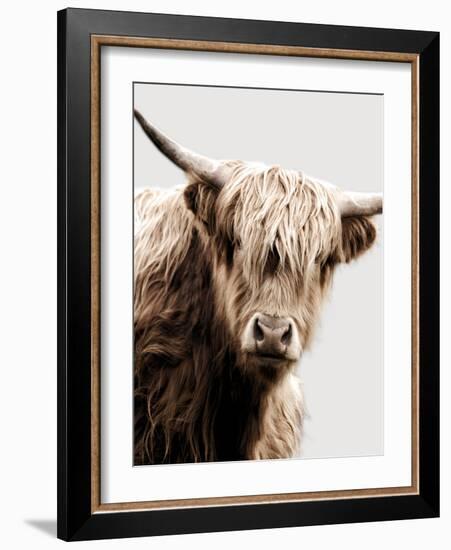 Highland Portrait I-Danita Delimont-Framed Photo