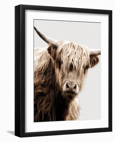 Highland Portrait I-Danita Delimont-Framed Photo