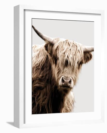 Highland Portrait I-Danita Delimont-Framed Photo