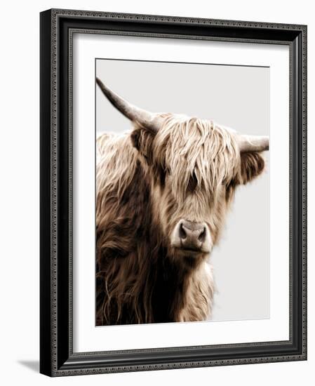 Highland Portrait I-Danita Delimont-Framed Photo