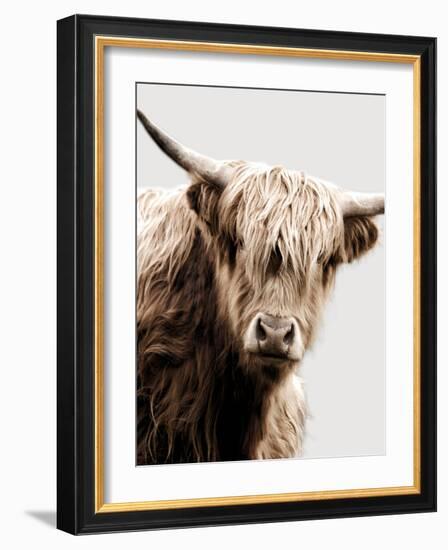 Highland Portrait I-Danita Delimont-Framed Photo