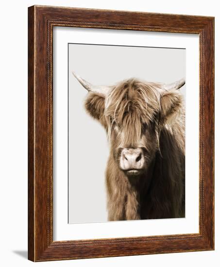 Highland Portrait II-Danita Delimont-Framed Photo