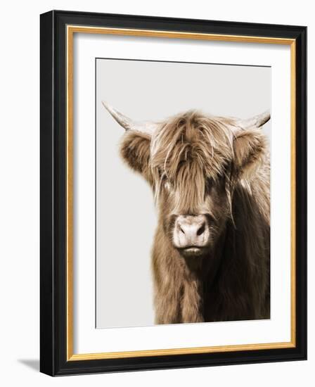 Highland Portrait II-Danita Delimont-Framed Photo