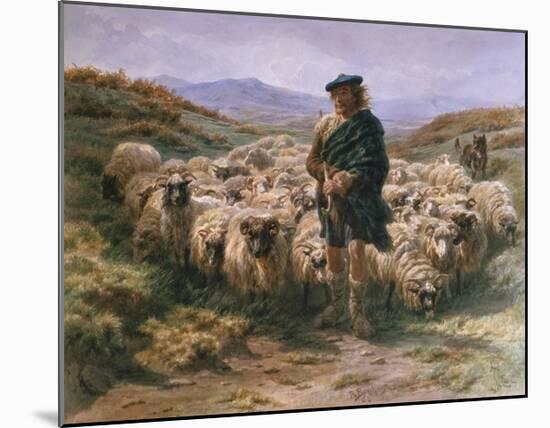 Highland Shepherd-Rosa Bonheur-Mounted Premium Giclee Print