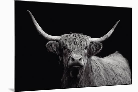 Highland Spirit-Bill Philip-Mounted Giclee Print