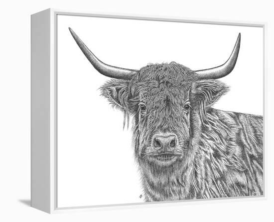Highland Study-Lucy Francis-Framed Stretched Canvas
