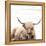 Highland V2-Kimberly Allen-Framed Stretched Canvas