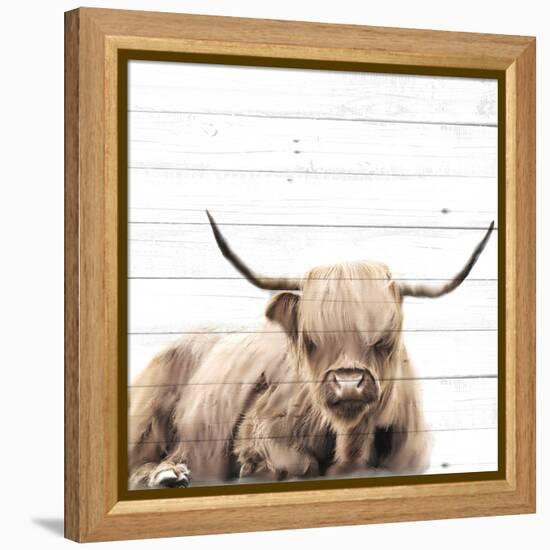 Highland V2-Kimberly Allen-Framed Stretched Canvas