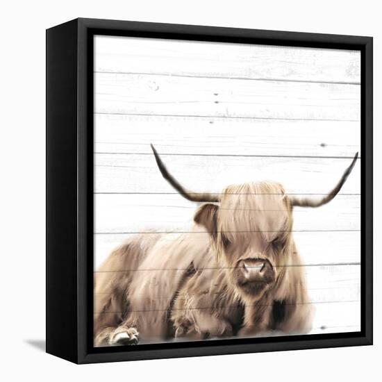 Highland V2-Kimberly Allen-Framed Stretched Canvas