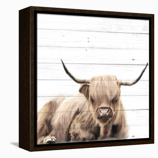 Highland V2-Kimberly Allen-Framed Stretched Canvas