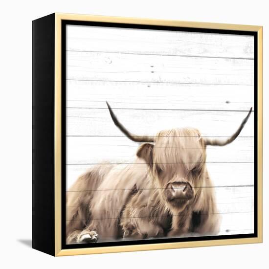 Highland V2-Kimberly Allen-Framed Stretched Canvas