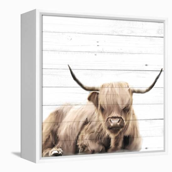 Highland V2-Kimberly Allen-Framed Stretched Canvas