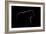 Highlight-Gorazd Golob-Framed Giclee Print