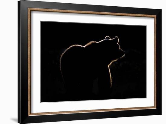 Highlight-Gorazd Golob-Framed Giclee Print