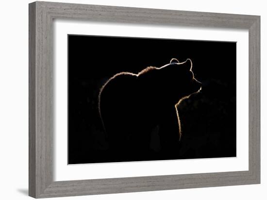 Highlight-Gorazd Golob-Framed Giclee Print