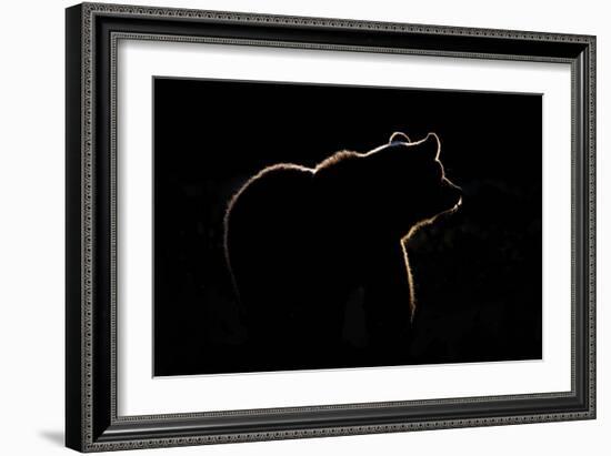 Highlight-Gorazd Golob-Framed Giclee Print