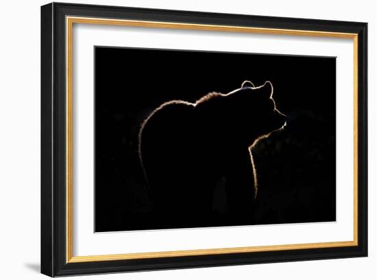 Highlight-Gorazd Golob-Framed Giclee Print