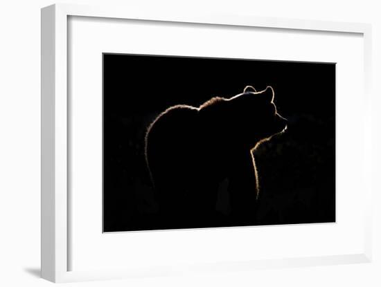 Highlight-Gorazd Golob-Framed Giclee Print