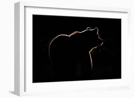 Highlight-Gorazd Golob-Framed Giclee Print