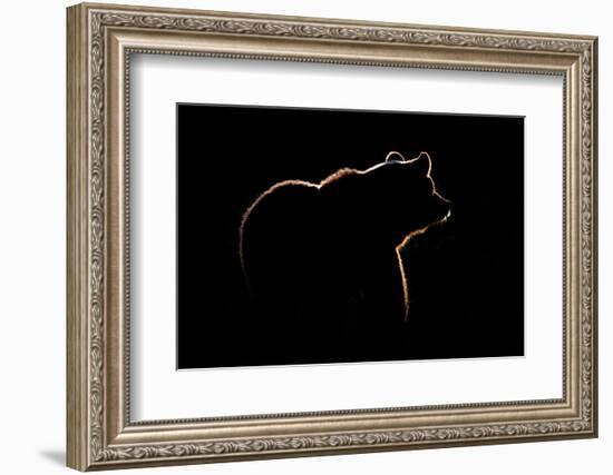 Highlight-Gorazd Golob-Framed Photographic Print