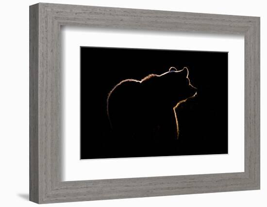 Highlight-Gorazd Golob-Framed Photographic Print