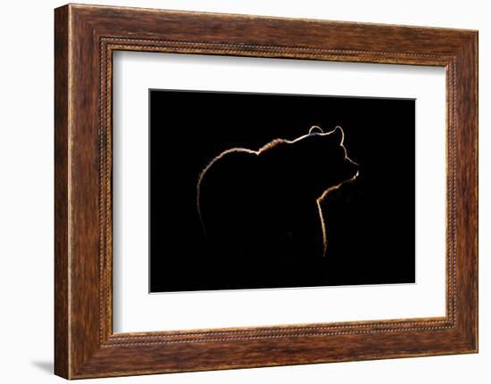 Highlight-Gorazd Golob-Framed Photographic Print