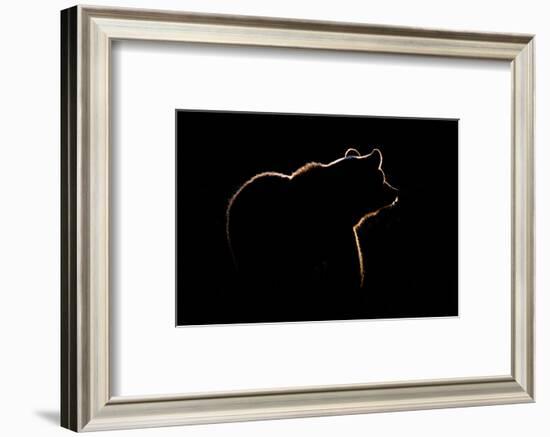 Highlight-Gorazd Golob-Framed Photographic Print