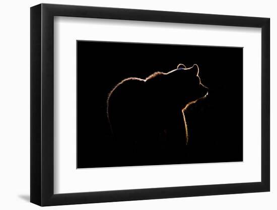 Highlight-Gorazd Golob-Framed Photographic Print