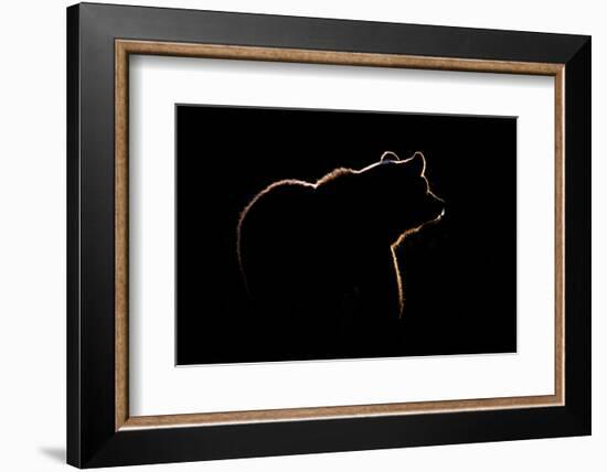 Highlight-Gorazd Golob-Framed Photographic Print